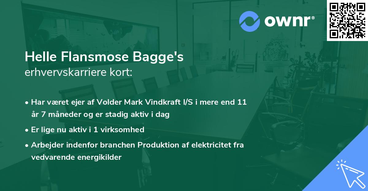 Helle Flansmose Bagge's erhvervskarriere kort