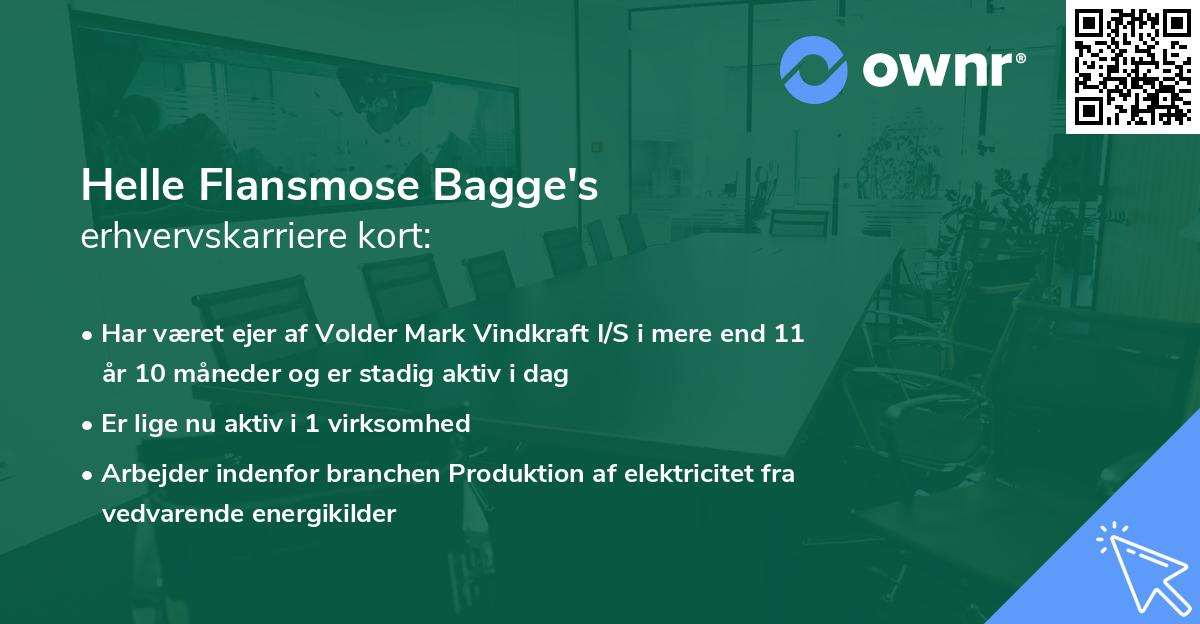 Helle Flansmose Bagge's erhvervskarriere kort