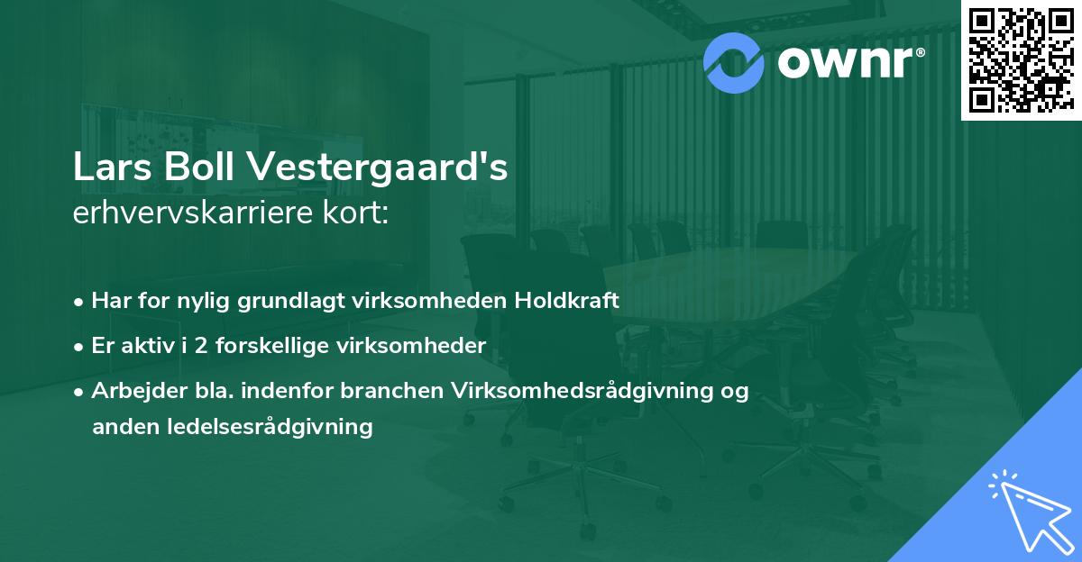 Lars Boll Vestergaard's erhvervskarriere kort