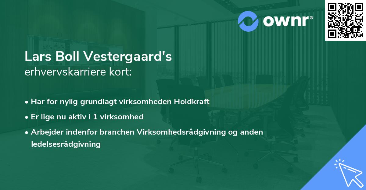 Lars Boll Vestergaard's erhvervskarriere kort