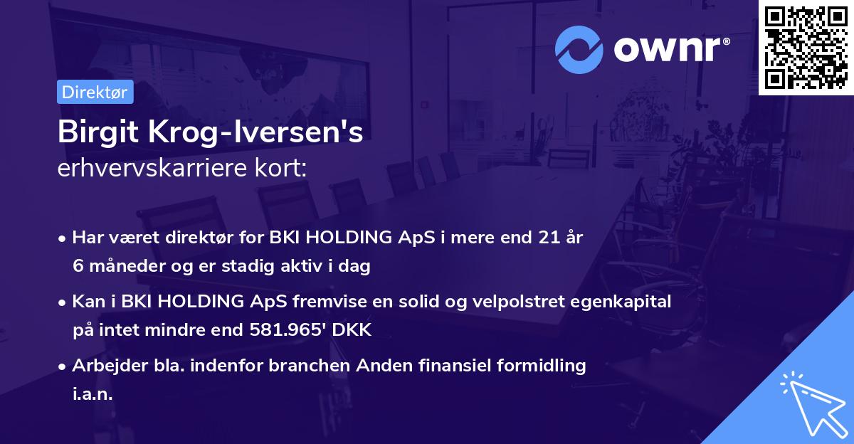 Birgit Krog-Iversen's erhvervskarriere kort