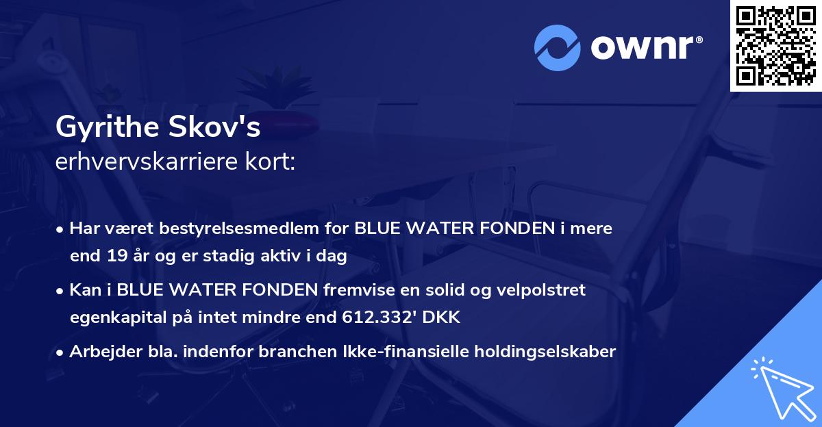 Gyrithe Skov's erhvervskarriere kort