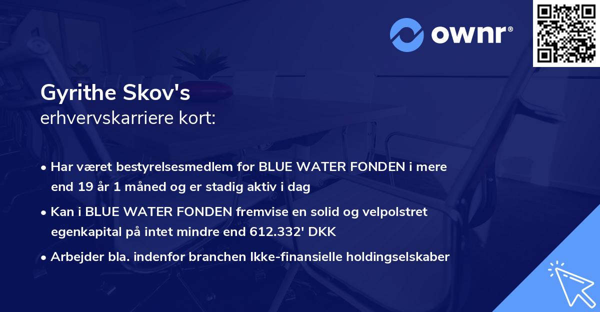 Gyrithe Skov's erhvervskarriere kort