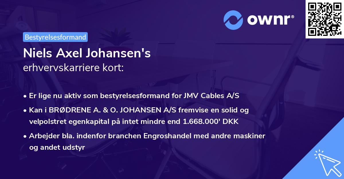 Niels Axel Johansen's erhvervskarriere kort