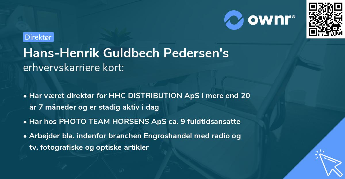 Hans-Henrik Guldbech Pedersen's erhvervskarriere kort