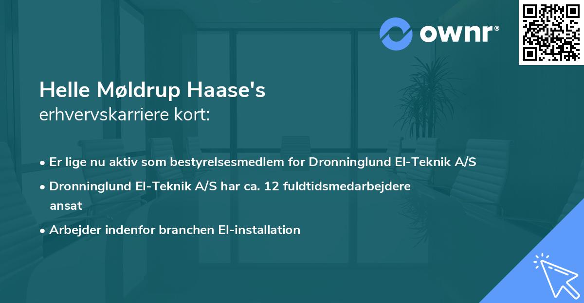 Helle Møldrup Haase's erhvervskarriere kort