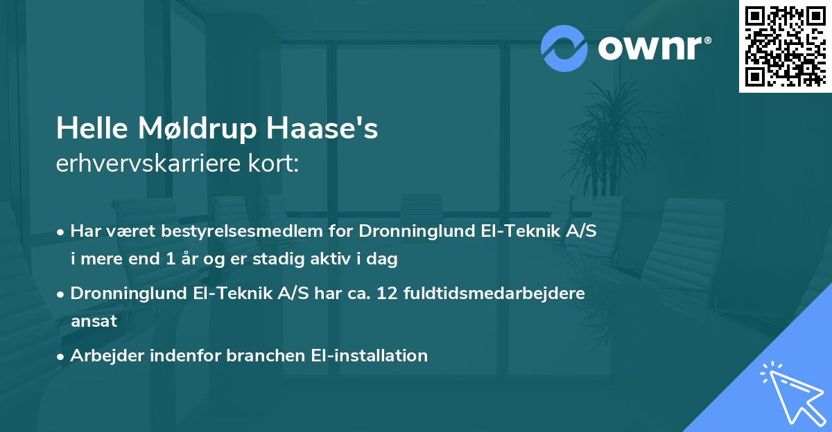 Helle Møldrup Haase's erhvervskarriere kort