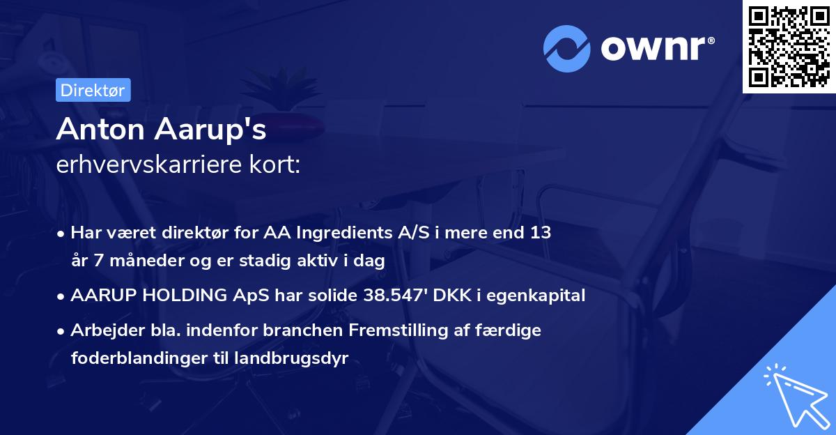 Anton Aarup's erhvervskarriere kort