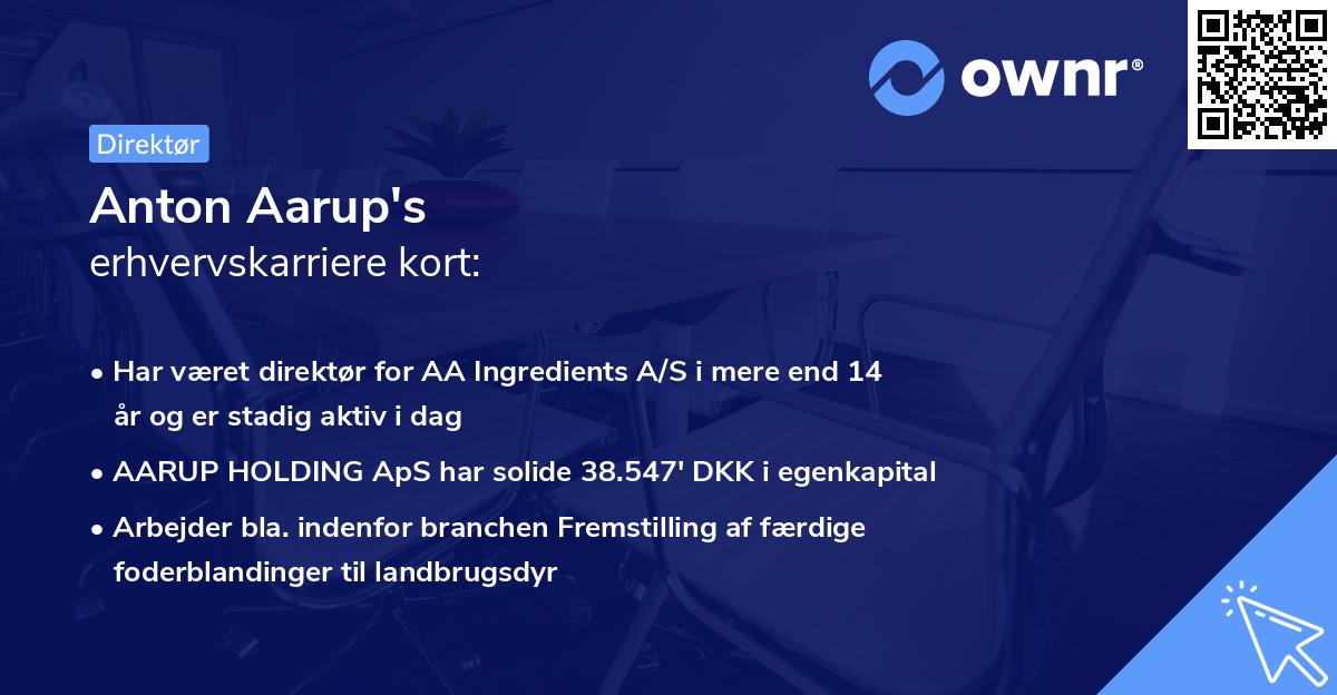 Anton Aarup's erhvervskarriere kort