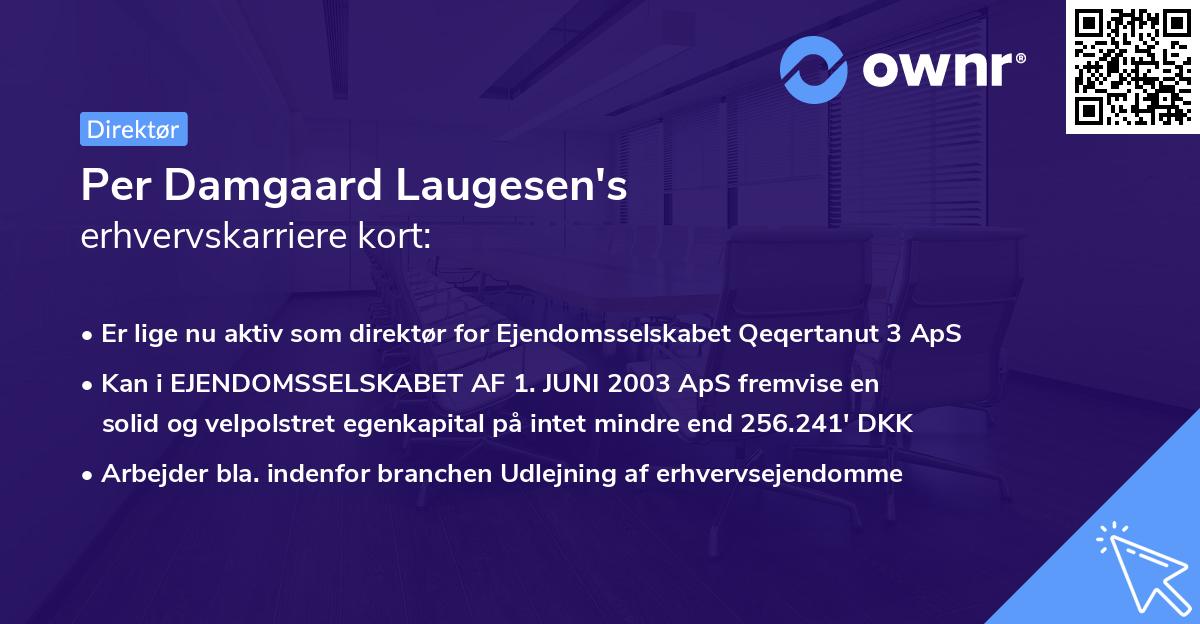 Per Damgaard Laugesen's erhvervskarriere kort
