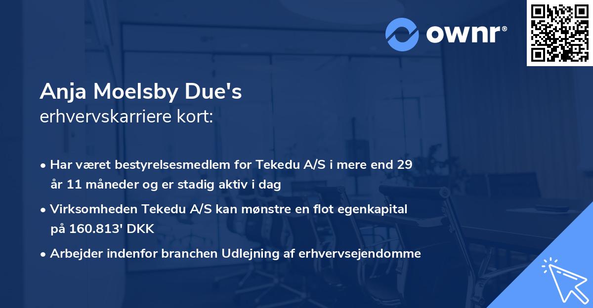 Anja Moelsby Due's erhvervskarriere kort