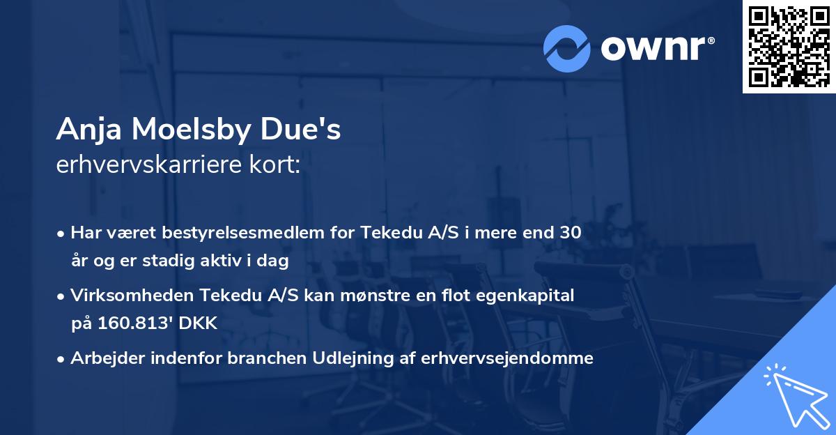 Anja Moelsby Due's erhvervskarriere kort