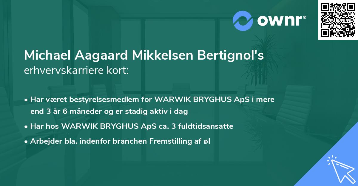 Michael Aagaard Mikkelsen Bertignol's erhvervskarriere kort