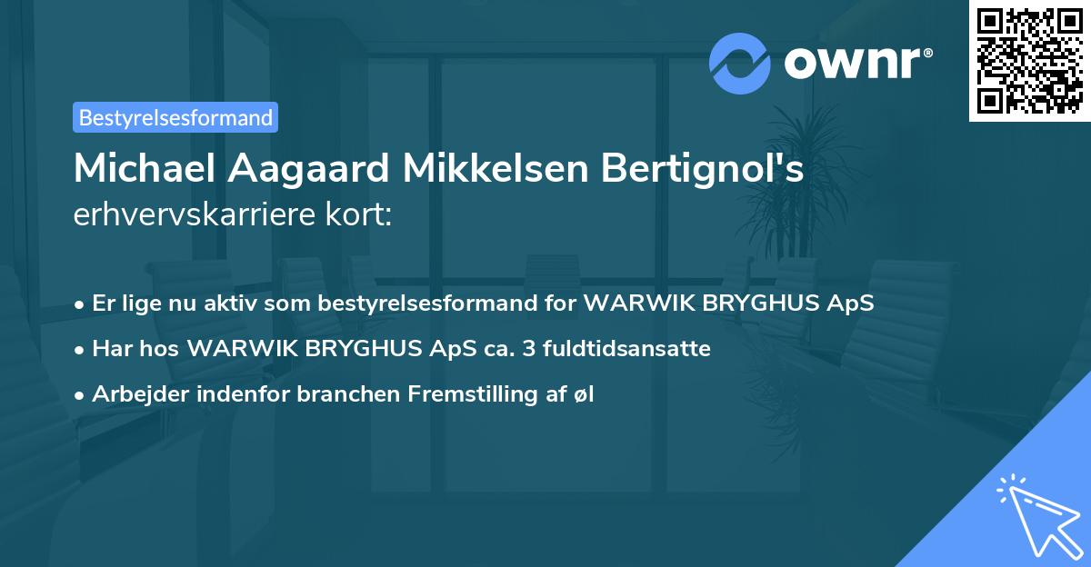 Michael Aagaard Mikkelsen Bertignol's erhvervskarriere kort