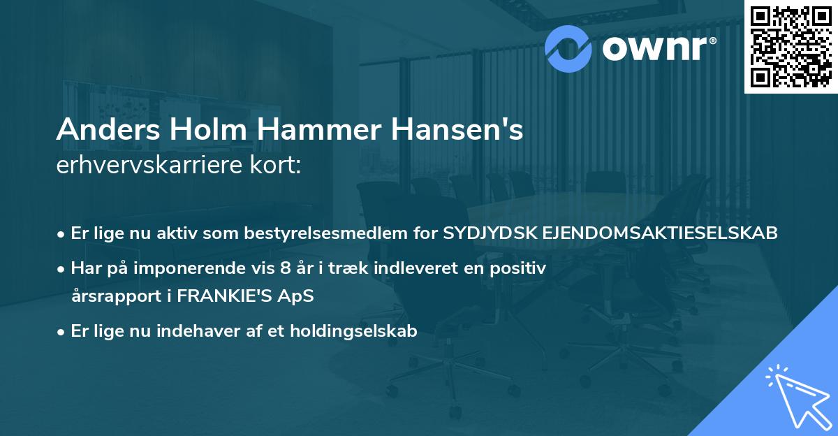 Anders Holm Hammer Hansen's erhvervskarriere kort