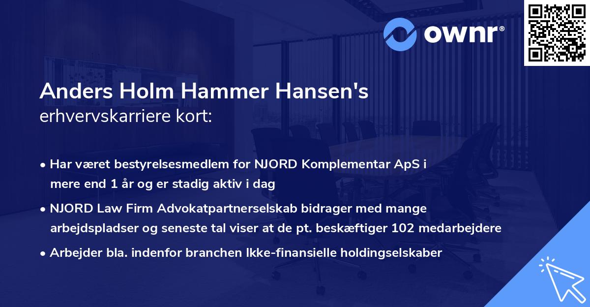 Anders Holm Hammer Hansen's erhvervskarriere kort