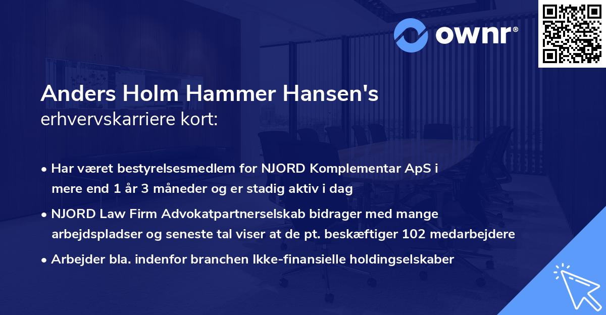 Anders Holm Hammer Hansen's erhvervskarriere kort