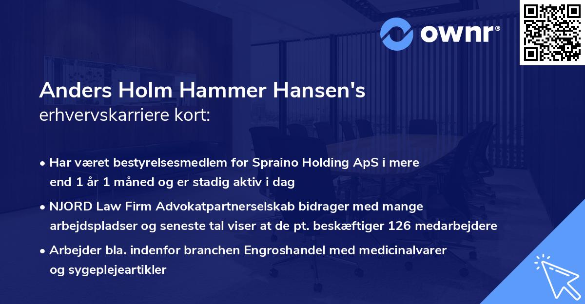Anders Holm Hammer Hansen's erhvervskarriere kort
