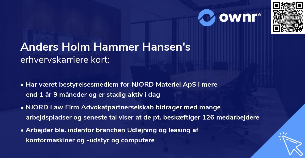 Anders Holm Hammer Hansen's erhvervskarriere kort