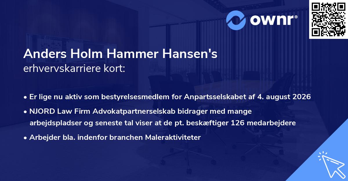Anders Holm Hammer Hansen's erhvervskarriere kort