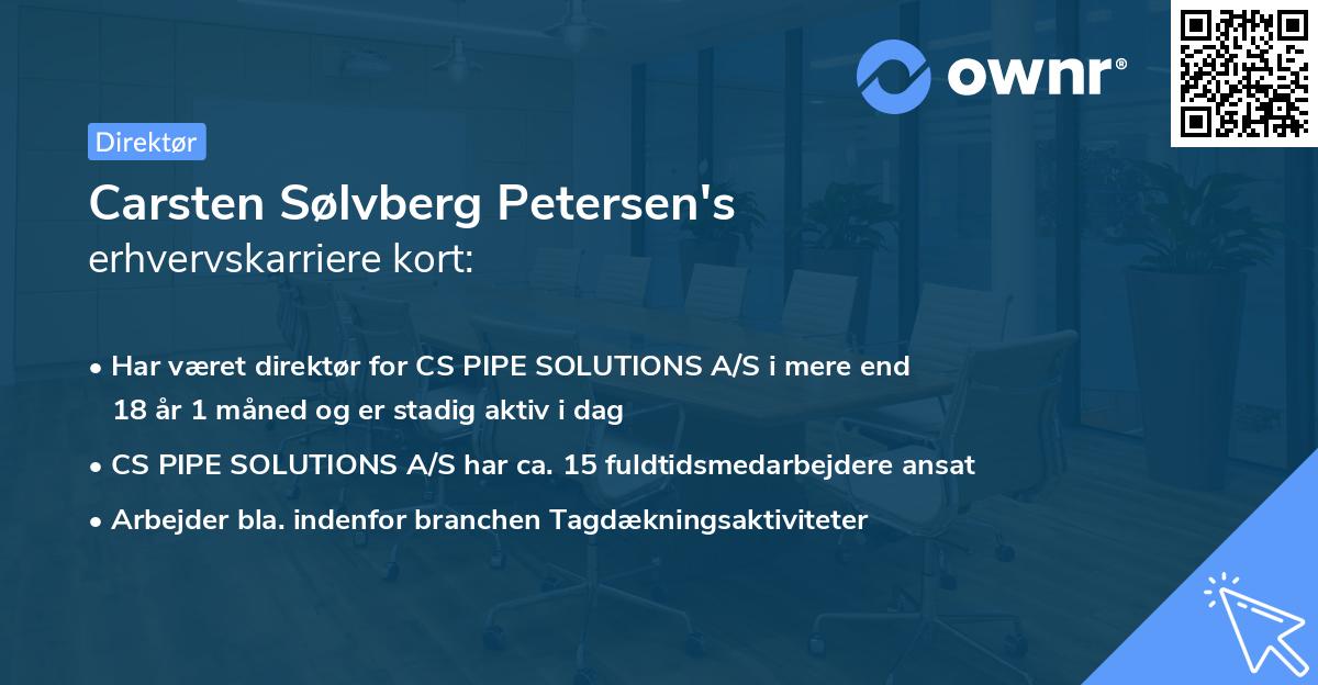 Carsten Sølvberg Petersen's erhvervskarriere kort