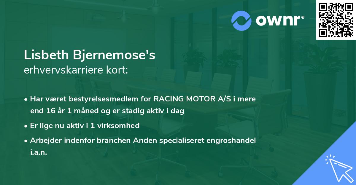 Lisbeth Bjernemose's erhvervskarriere kort