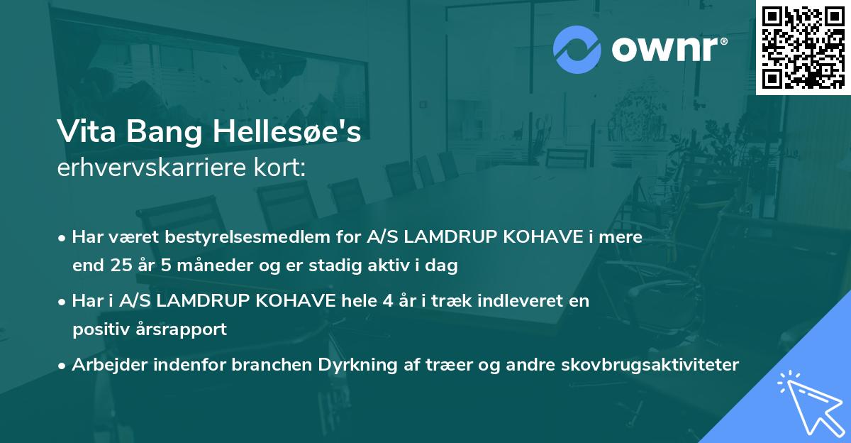 Vita Bang Hellesøe's erhvervskarriere kort