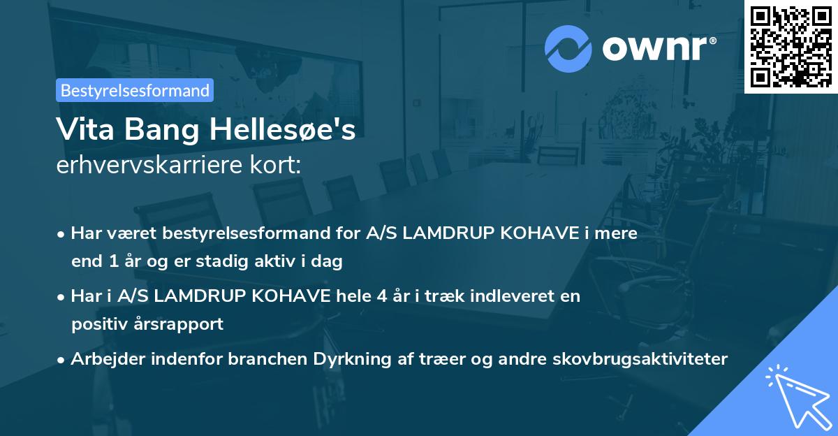 Vita Bang Hellesøe's erhvervskarriere kort