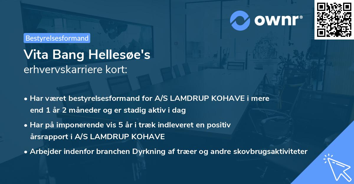 Vita Bang Hellesøe's erhvervskarriere kort