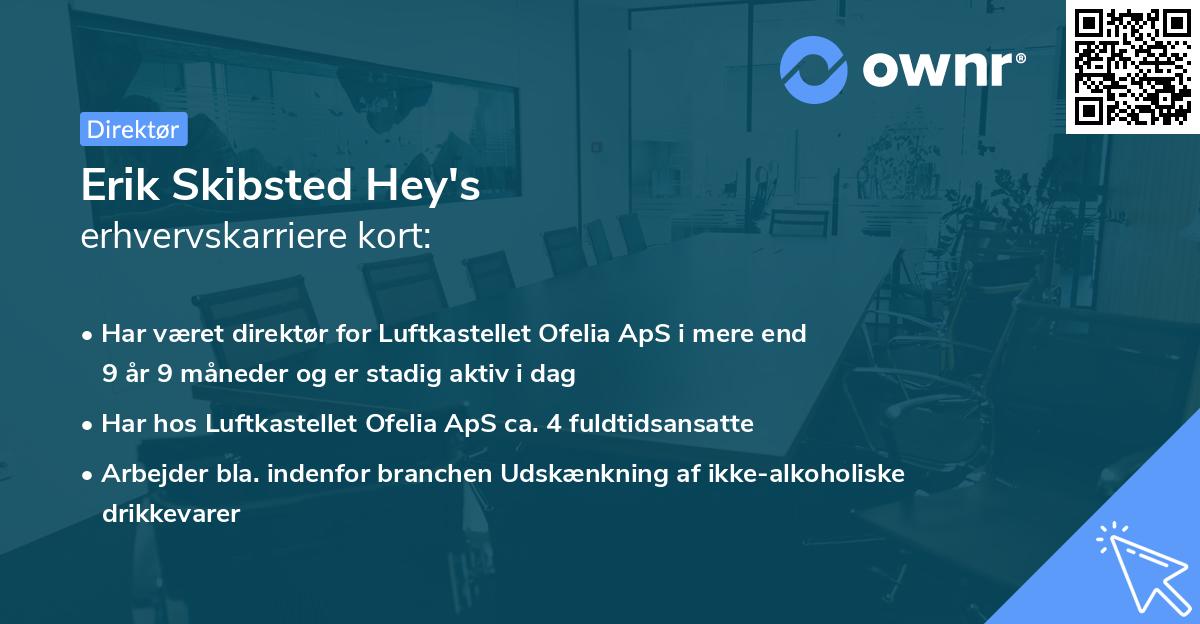 Erik Skibsted Hey's erhvervskarriere kort