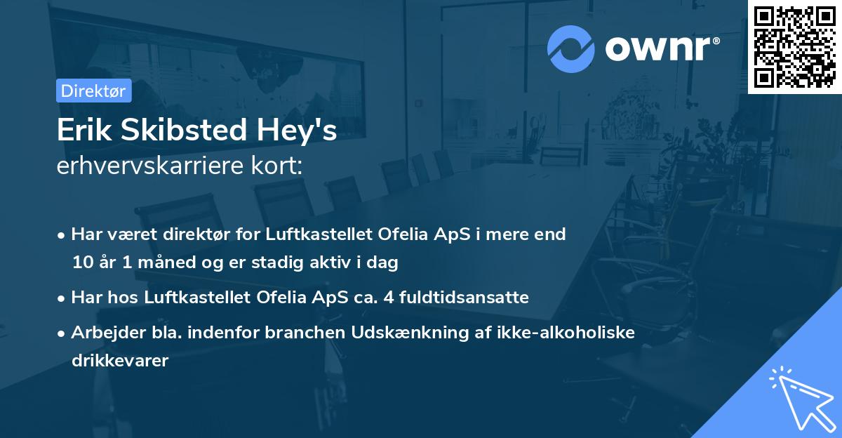 Erik Skibsted Hey's erhvervskarriere kort
