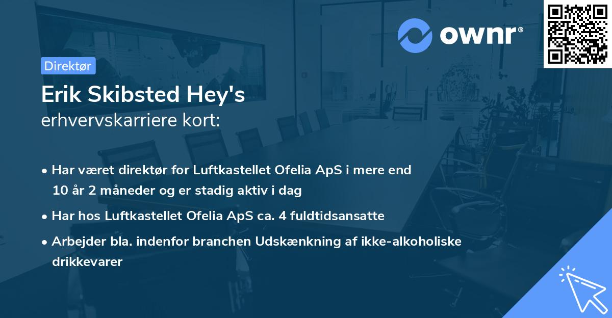 Erik Skibsted Hey's erhvervskarriere kort
