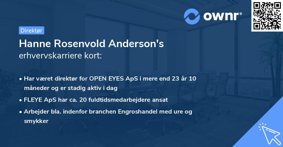 Hanne Rosenvold Anderson's erhvervskarriere kort