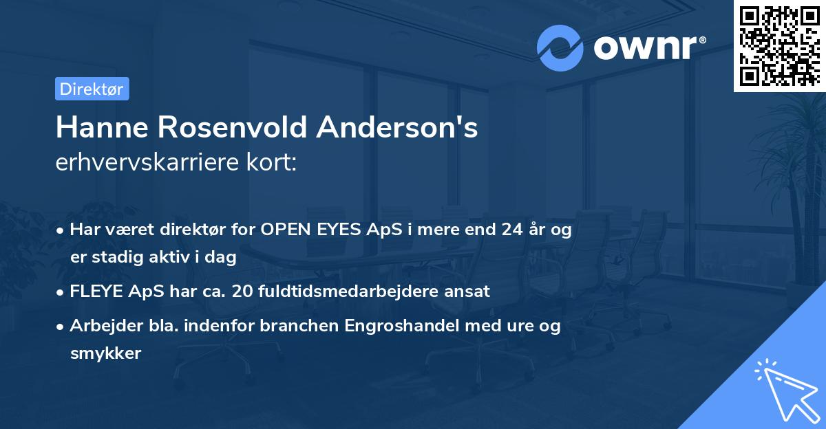 Hanne Rosenvold Anderson's erhvervskarriere kort