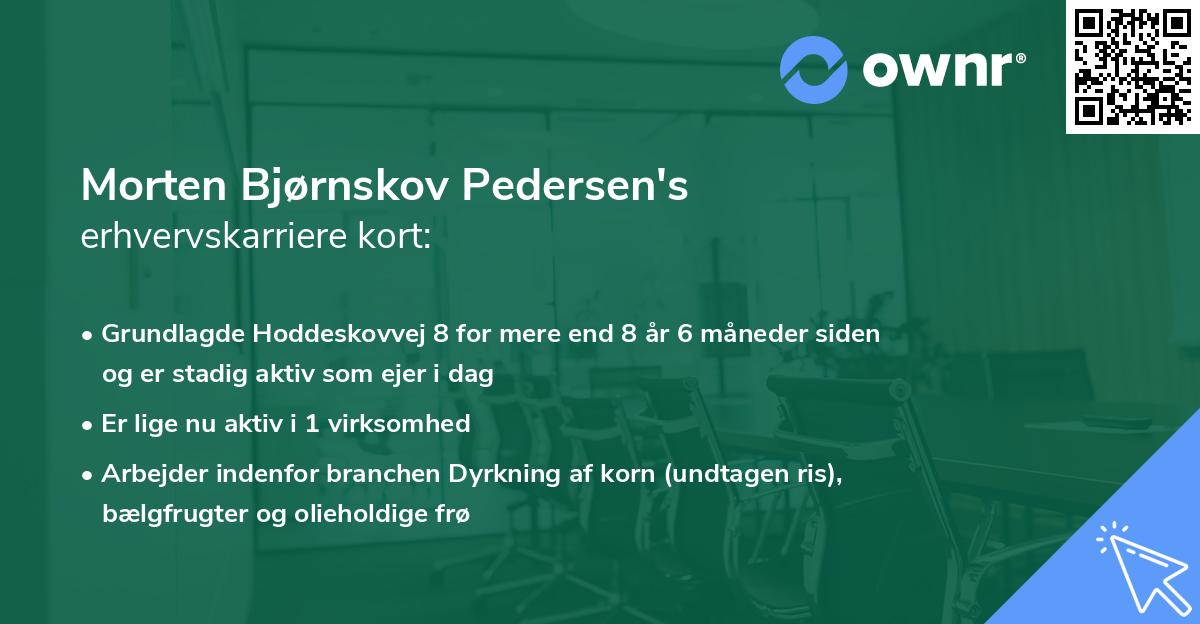 Morten Bjørnskov Pedersen's erhvervskarriere kort