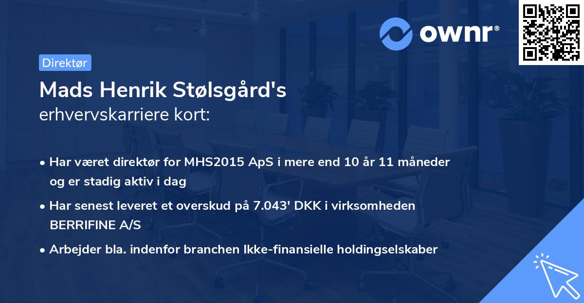 Mads Henrik Stølsgård's erhvervskarriere kort
