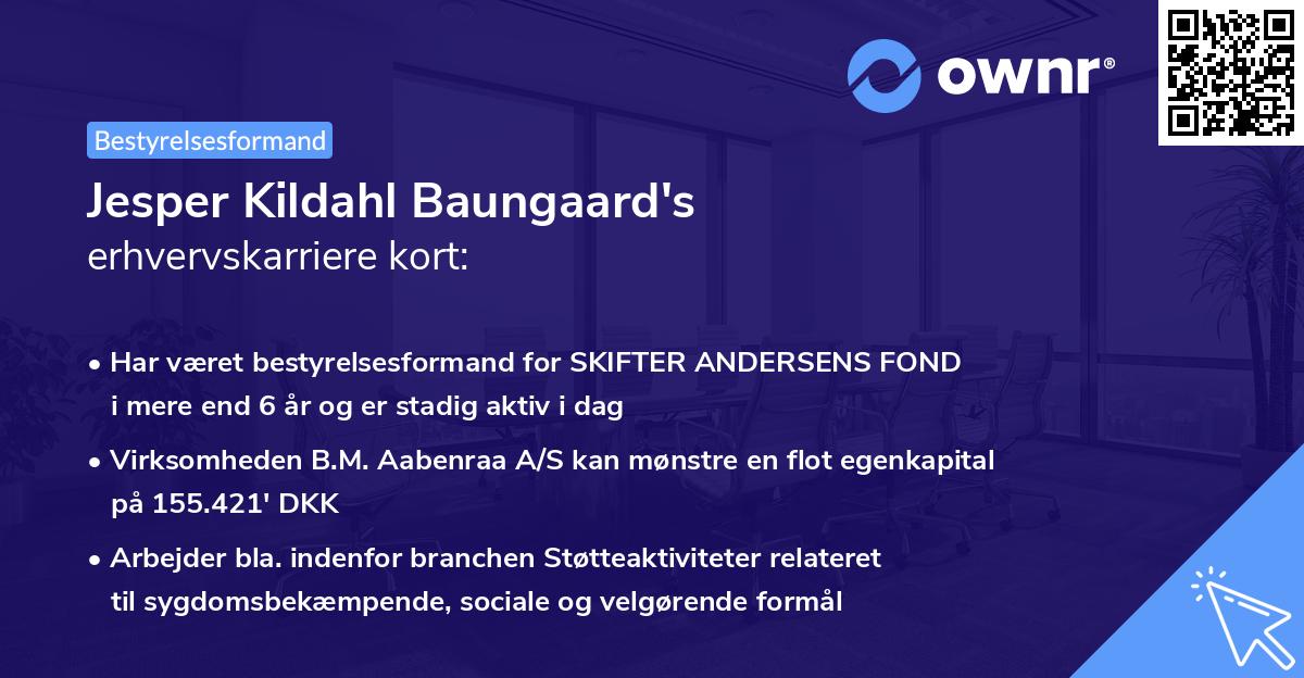 Jesper Kildahl Baungaard's erhvervskarriere kort
