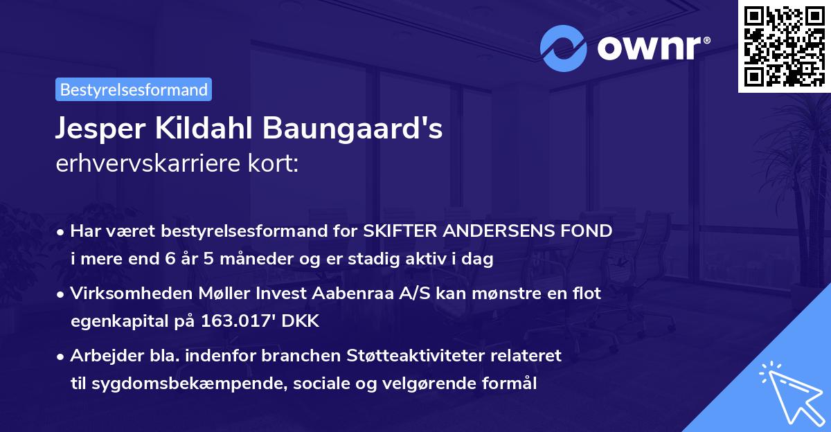 Jesper Kildahl Baungaard's erhvervskarriere kort