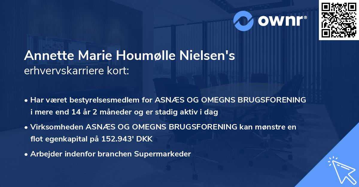 Annette Marie Houmølle Nielsen's erhvervskarriere kort
