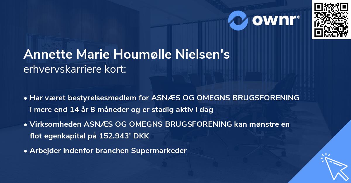 Annette Marie Houmølle Nielsen's erhvervskarriere kort