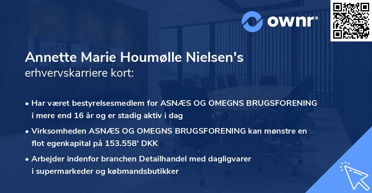 Annette Marie Houmølle Nielsen's erhvervskarriere kort