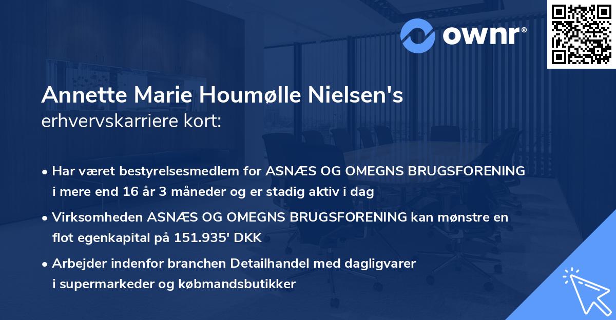 Annette Marie Houmølle Nielsen's erhvervskarriere kort