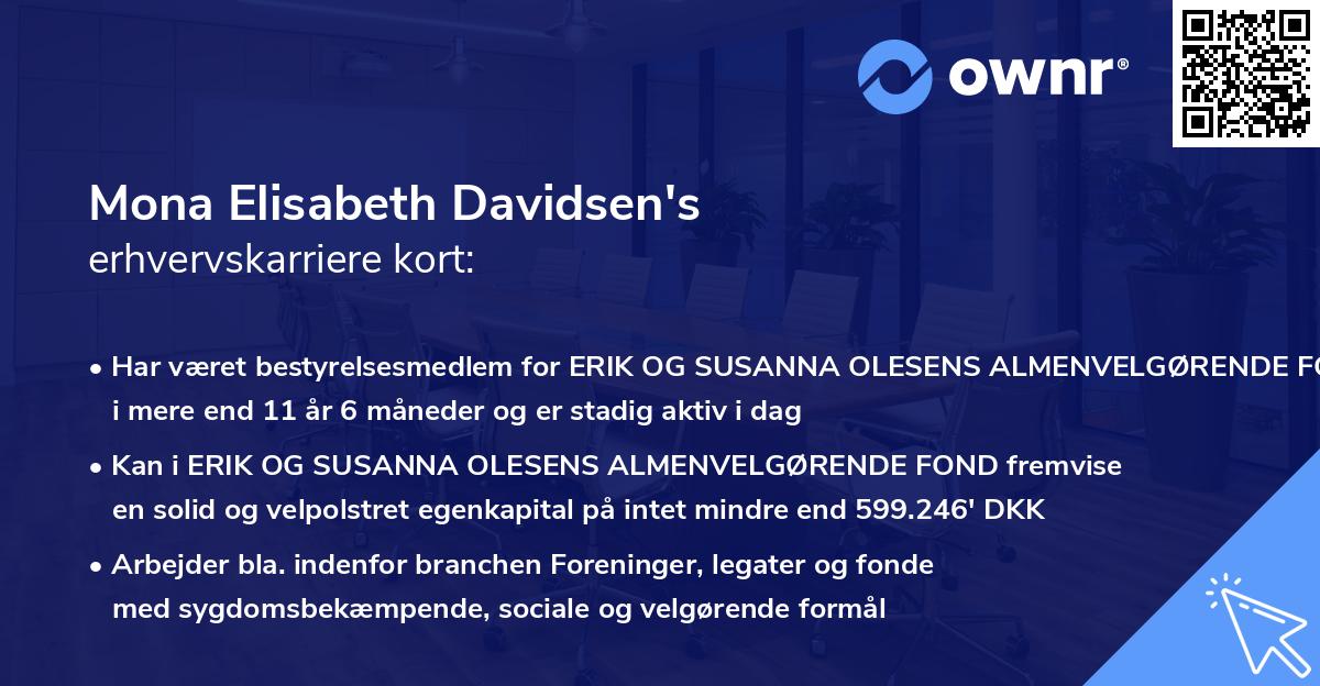 Mona Elisabeth Davidsen's erhvervskarriere kort