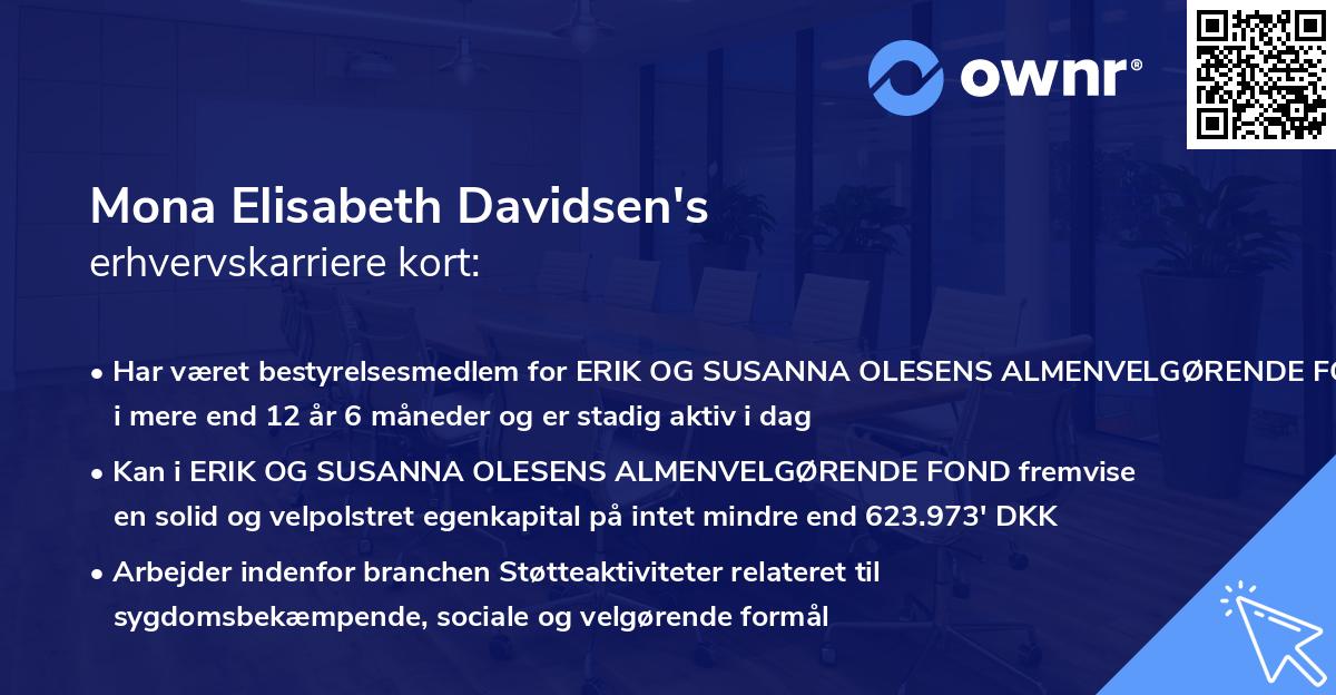 Mona Elisabeth Davidsen's erhvervskarriere kort