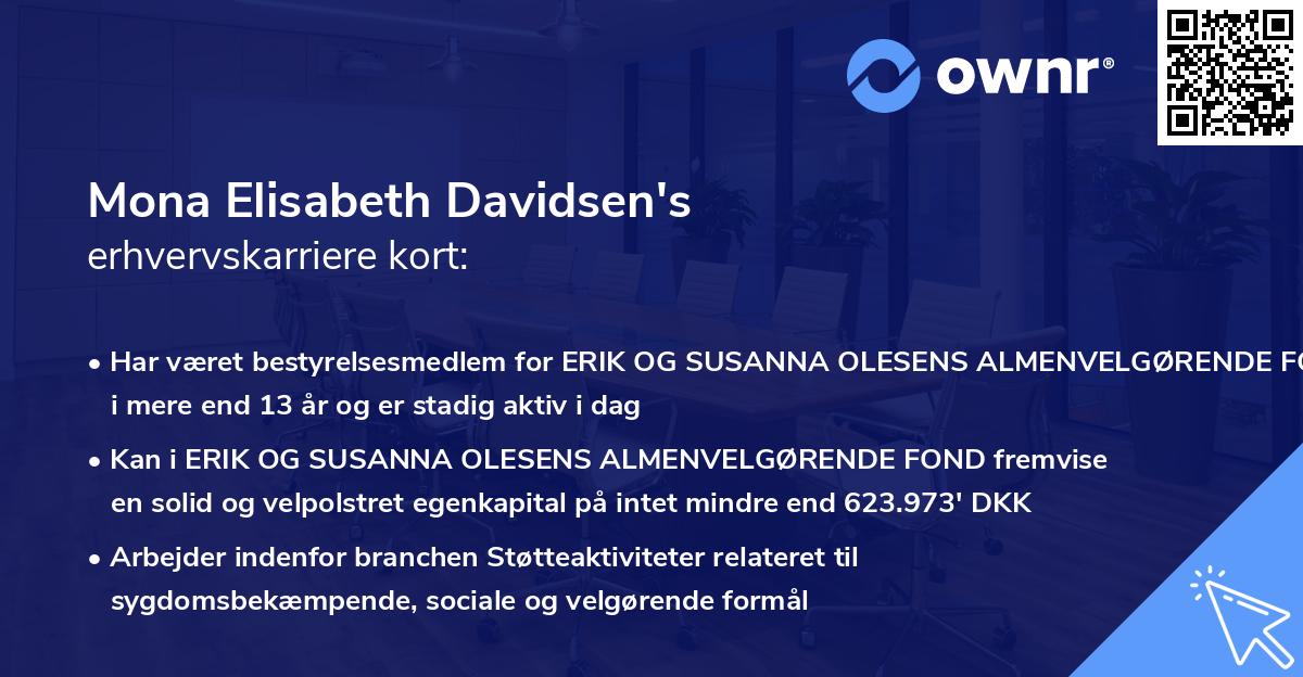 Mona Elisabeth Davidsen's erhvervskarriere kort