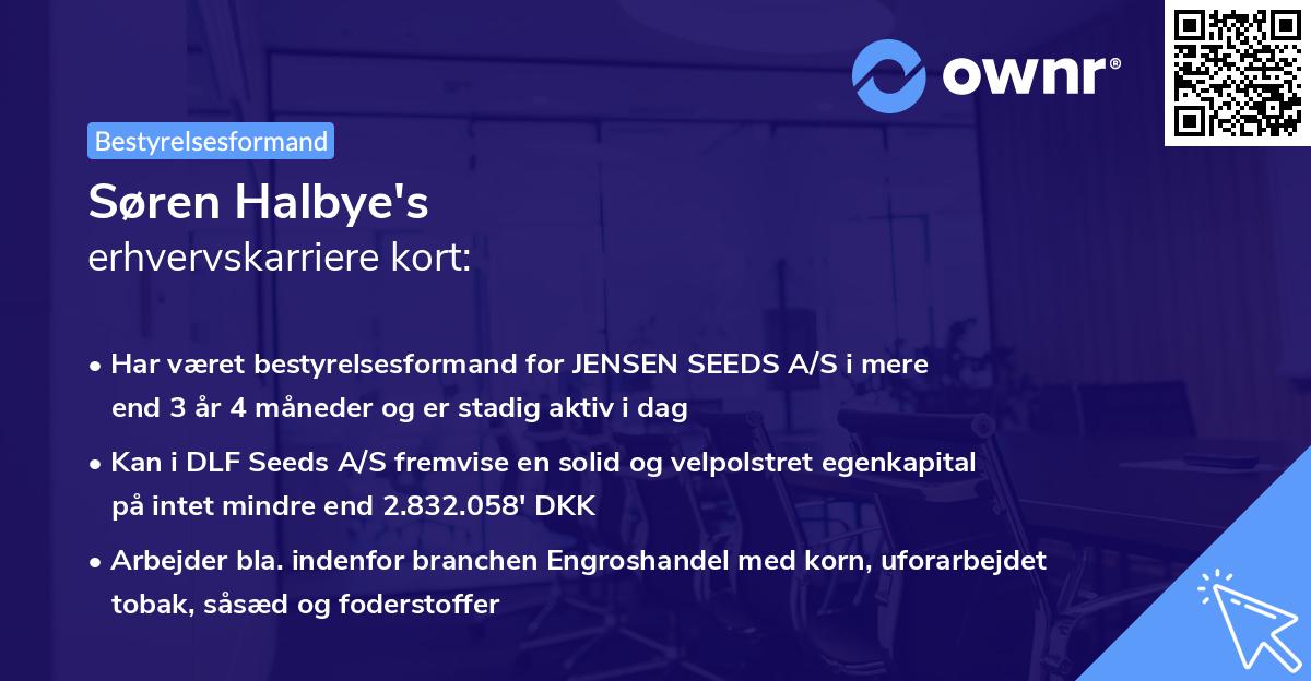 Søren Halbye's erhvervskarriere kort