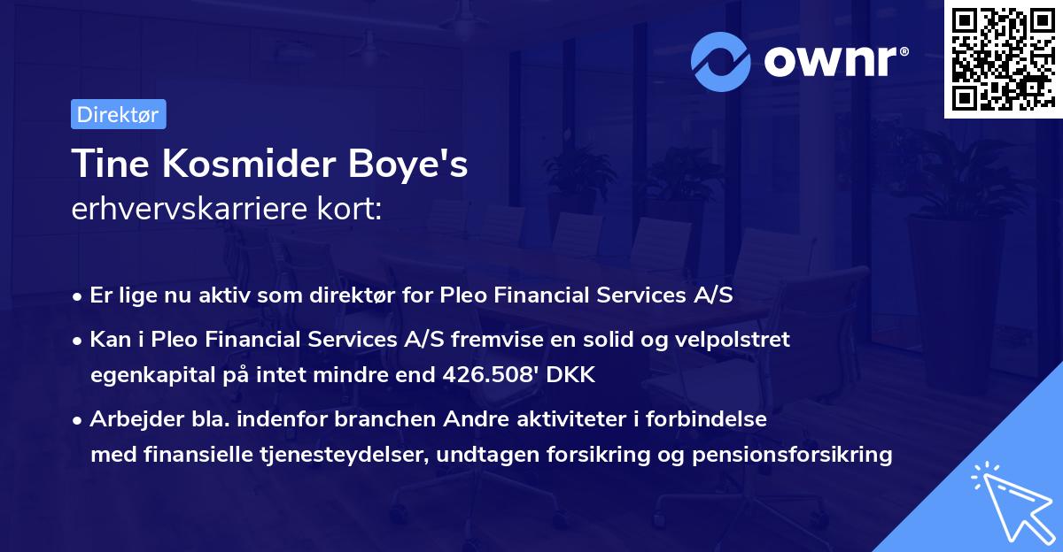 Tine Kosmider Boye's erhvervskarriere kort