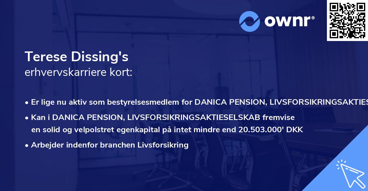 Terese Dissing's erhvervskarriere kort