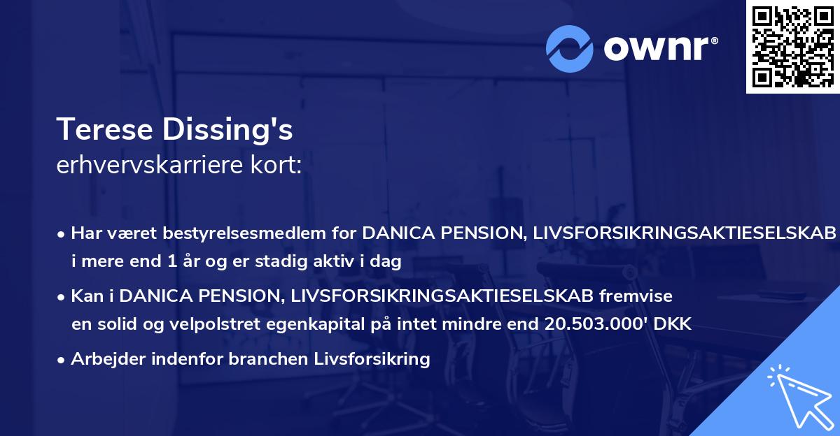 Terese Dissing's erhvervskarriere kort