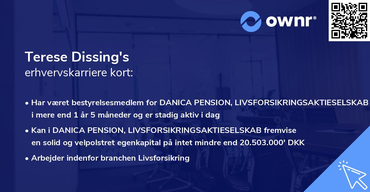 Terese Dissing's erhvervskarriere kort